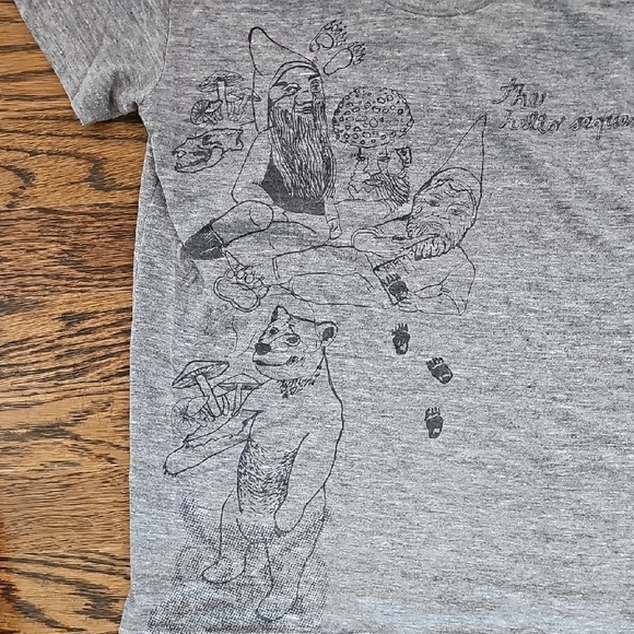 The Helio Sequence Gray Graphic Woman's T-Shirt - Picture 3 of 7